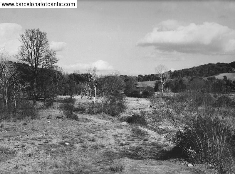 La Roca landscape