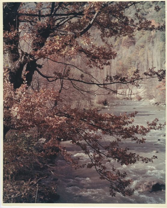 Garona river in Autumn