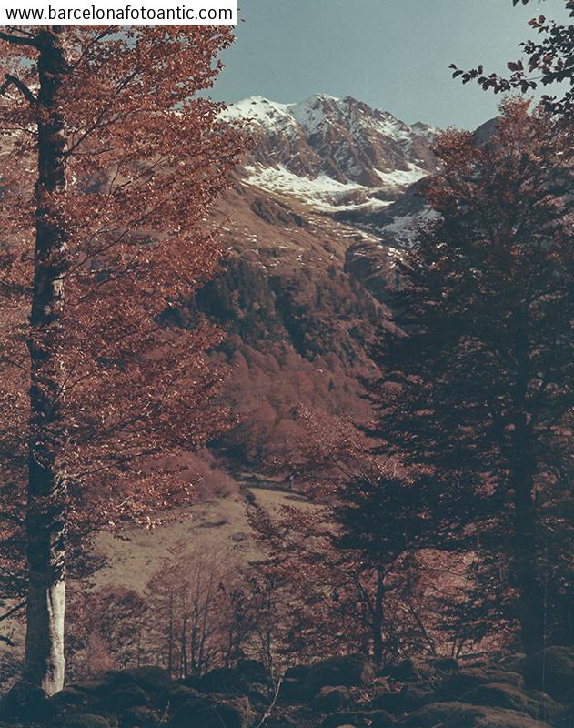 Vista del Valle de Arán