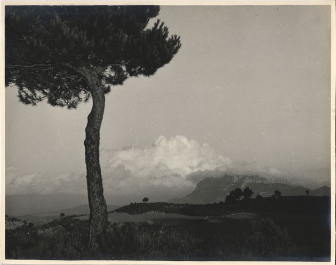 Panoràmica de Castellfollit de la Roca