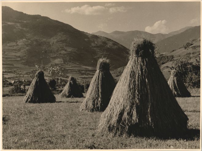 Hay in the Aran Valley