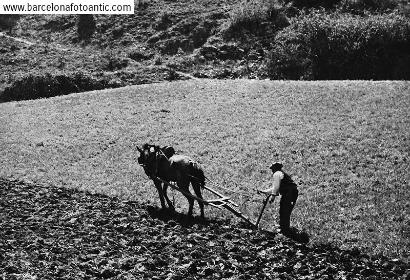 Plowing the field