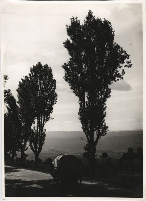 Cart on the road to Manresa