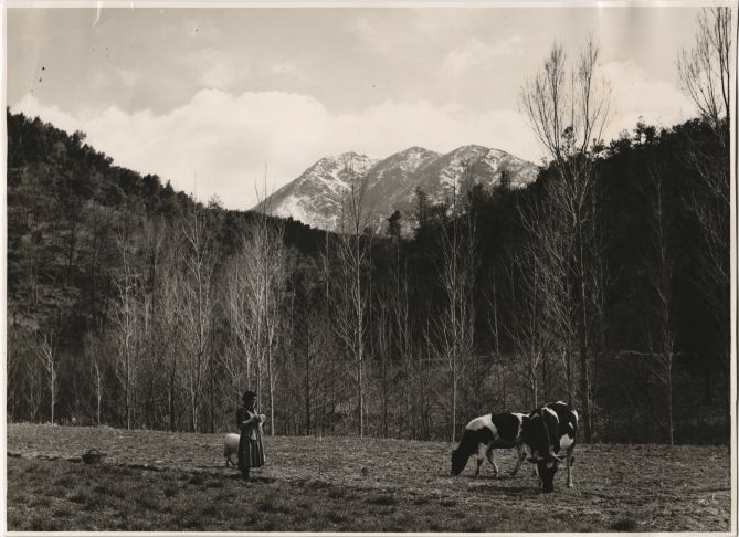 Natural place in the Pyrenees of Huesca