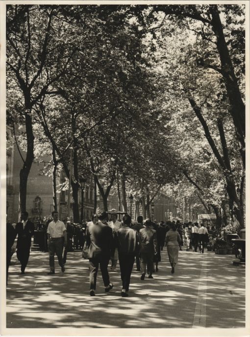 La Rambla de les Flors al Maig de 1958