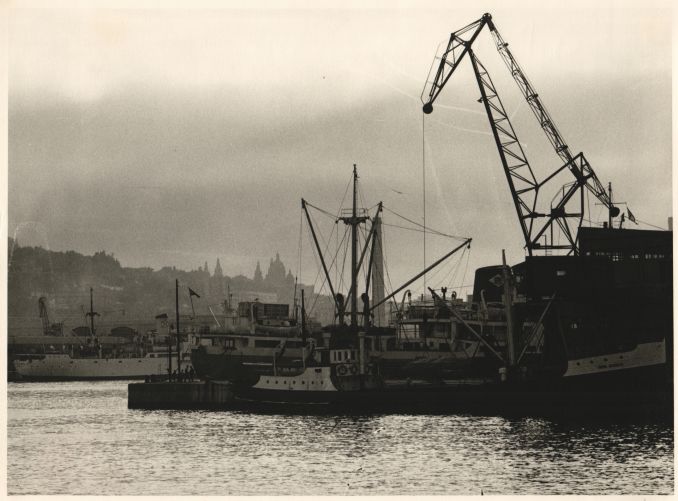 El Port de Barcelona en plena activitat