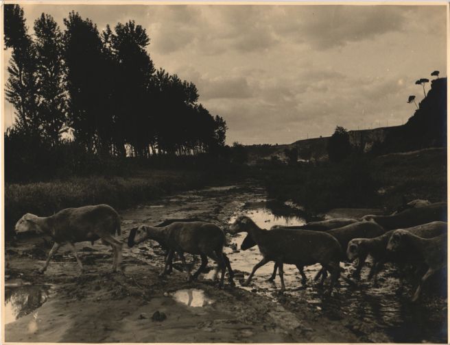 Crossing the stream